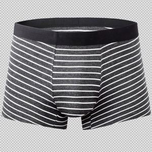 Calzoncillos Boxer Personalizados con Rayas Modales, Cómodos, de Tiro Medio, Transpirables y Antibacterianos, Sin Costuras, Venta al por Mayor de Fábrica para Hombres - Product Image 4