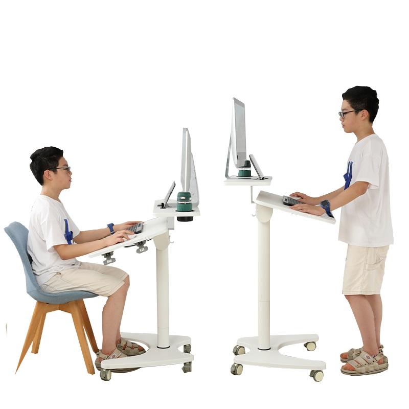 ADA Furniture Pneumatic Double Layers Flip Laptop Height Adjustable ...