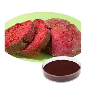 High Quality Beet Root Red Beetroot Extract Powder