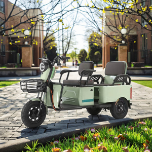 Nouveauté 2026, Vente Chaude, Direct Usine : Scooter Électrique Passager à Double Siège 800W, Tricycle <span class=keywords><strong>Taxi</strong></span>, Scooter pour Personnes Âgées, En Promotion - Product Image 5