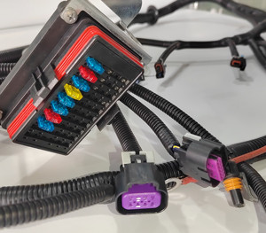 スタンドアロンワイヤーワイヤーワイヤーハーネスLS1LS2 LS3LS6エンジン (4L60E DBW付き) - Product Image 2