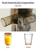Extracteur de Jus Électrique à Pression à Froid de Qualité Supérieure pour Pommes, Carottes et Oranges – Meilleure Machine à Jus Lent pour Fruits