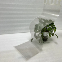 Écran d'affichage numérique LED transparent et flexible en couleur pleine, P6-P10, pour les magasins de détail, les centres commerciaux, les ascenseurs, l'éducation
