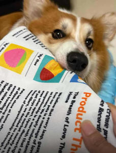Giocattolo da masticare per animali domestici a forma di giornale, con suono divertente e cigolante, per l'allenamento <span class=keywords><strong>quotidiano</strong></span> dei cuccioli - Product Image 6