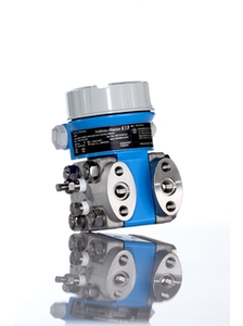 Endress+Hauser E+H Deltabar PMD55 เครื่องวัดความดันแบบดิฟเฟอเรนเชียล IP67 สแตนเลส 316L รับประกัน 1 ปี Rosemo - Product Image 2