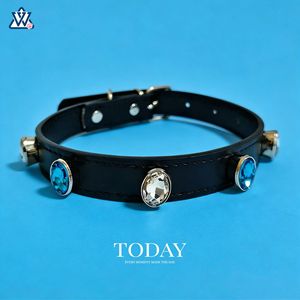 Collier pour animaux de compagnie en strass, réglable, en cuir PU noir, style luxueux pour petits chiens et chats - Product Image 1