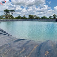 Geomembran HDPE Dam Liner 500 mikron 0,75 mm, 1 mm, 1,5 mm untuk Tambak Udang, Ikan, dan Budidaya Perikanan
