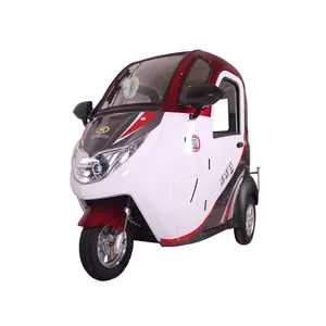 New Energy Adult Disabled 3 Wheel Mini Smart Car Electric Motorcycle