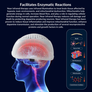 Casco de Terapia de Luz Infrarroja de 1070nm, Estimulador Cerebral PBM con Neurofeedback para Demencia, Parkinson, Rehabilitación Cognitiva Deportiva - Product Image 2