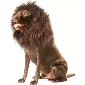 Gorro de poliéster sólido para perro con orejas de león y diseño de felpa para accesorios de mascotas de invierno/primavera/Halloween - Product Image 4