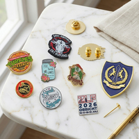 Pins de Solapa Personalizados OEM con Diseño a Medida, Logotipo y Nombre, Lindos Pins de Metal Esmaltados Suaves y Duros para Ropa