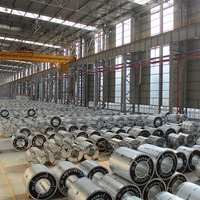 Bobina de Acero Galvanizado PPGI de 0.16-1.6mm, RAL9016 AZ30-AZ40, Alta Capa de Pintura, Prepintado, Estándar ASTM, Certificado CE