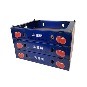 Présentoir de supermarché, emballage de pommes, boîte en carton ondulé pour fruits et légumes - Product Image 1