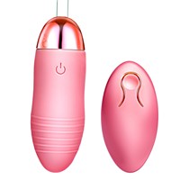 Wiederaufladbarer Mini-Vibrator mit 10 Frequenzen, USB-betrieben, Klitoris-Stimulator mit Fernbedienung, IPX6 Wasserdicht