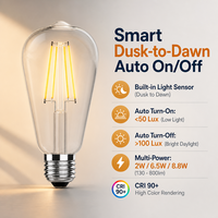Ampoule LED à filament avec capteur crépusculaire E26 E27 B22 2W 6.5W 8.8W CRI 90+ 2700-6500K pour véranda et jardin