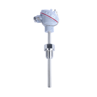 Termometer Resistansi Baja Film Tipis YOKE WZPK-133 Pt100 OEM/ODM IP65 0-50C Resolusi 0.1C Garansi 1 Tahun