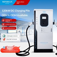 Borne de Recharge Rapide DC au Sol 120 kW Norme Nationale AC380V 0-200A pour Véhicules Électriques Blanc Ivoire Commerciale