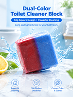 Tablet Pembersih Toilet OEM Kustom Grosir, Aroma Ganda, Dua Kubus, Tahan Lama