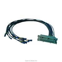 Produsen Kustomisasi Kabel Harness Sesuai Pesanan Semua Jenis Perakitan Kabel Peralatan HE-016 WIRE HARNESS