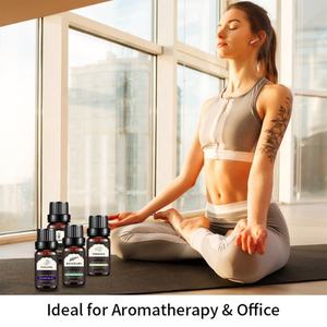 Fabricación OEM, Juego de Aceites Esenciales 100% Puros, Naturales y Orgánicos con Logotipo Privado Personalizado - Product Image 6