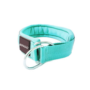 Hondenriem met neopreen voering in een aangepaste kleur - Product Image 6