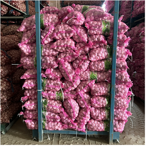 Sinofarm China Alho Fornecedor Orgânico Atacado Fresco Alho 2.7kg 3kg 10kg Malha Saco Ali Ajo Alho para o Mercado do Oriente Médio - Product Image 6
