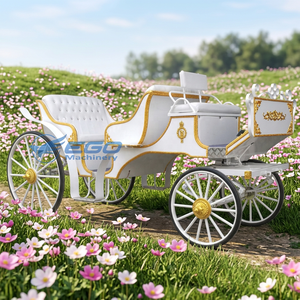 Chariot de tourisme royal électrique de luxe à deux rangées, blanc, à traction équine, très demandé - Product Image 1