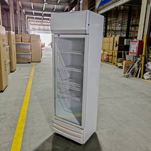 Equipo de Refrigeración y Congelación Vertical Personalizado para Exhibición de Bebidas, Refrigerador y Congelador NQ-LZ - Product Image 2