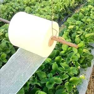 Larghezza 30cm rete fragola bianca serre frutta supporto rete rete rete di isolamento della frutta - Product Image 2