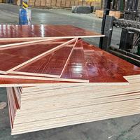 Système de coffrage en béton écologique 18 mm 4x8 pieds 1220x2440 mm E0 sans formaldéhyde, contreplaqué de peuplier pour l'extérieur pour la construction