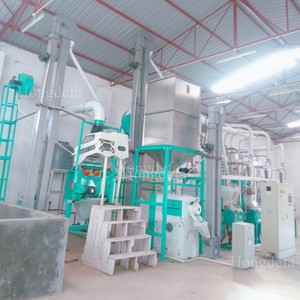 Fresatrice per farina di mais certificata 5tpd | Macinino automatico per mais | Attrezzatura per la lavorazione del grano industriale - Product Image 6