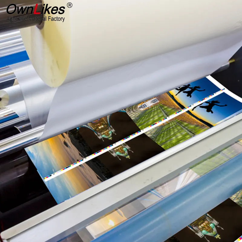 Flexography Laminate Glass Led Film Hot Melt Adhesive Tpu Film Laminator For Laminating Fabric