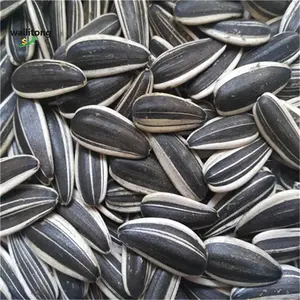 סין בתפזורת היברידי אורגני לבן חמניות זרעי שמן חילוץ סוגים שונים של חמניות זרעים 601