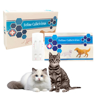 Hochwertiges Katzen-Calicivirus-Testkit FCV-Testkit Calicivirus-Test für Katzen