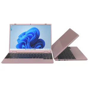 14 inch 16GB Ram windows 11 Netbook Slim Pink Silver Laptop Cheap New 14 Inch Intel Celeron N5095 Laptop