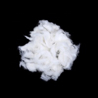 Factory Price Carded Cashmere 100% Sheep Wool Fiber for Spinning Yarn in Stock Good Sheep Wool Cashmere Fiber Scoure