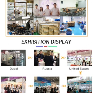 Botella de Vidrio con Gotero para Aceite Cosmético de Lujo, 10ml 15ml 1oz 30ml 60ml, Botella de Suero de Vidrio Rosa Degradado Mate con Gotero - Product Image 6