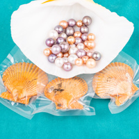 Perle d'Édison de Qualité AAAA en Coquille Rouge, Perle de Culture Ronde en Vrac, Emballée Sous Vide, 10-13mm, Cadeau de Fête, Perle de Vœu d'Amour