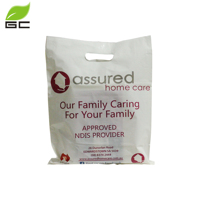 Sac en plastique refermable avec logo personnalisé, poignée découpée, sac de shopping LDPE durable de haute qualité pour l'emballage et les vêtements