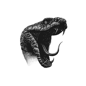 <span class=keywords><strong>Tatuajes</strong></span> Faciales Personalizados al por Mayor, Modernos y Sensuales, Transferibles con Agua, Diseño <span class=keywords><strong>de</strong></span> Serpiente y Flores, Semipermanentes, para Hombres - Product Image 6