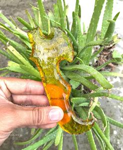 Couteau rituel en obsidienne de style hache en verre jaune taillé à la main de haute qualité, 5 à 6,5 pouces, couteau en pierre précieuse naturelle - Product Image 6