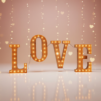 Lettres lumineuses en fer galvanisé 3FT/4FT/5FT, enseigne LED avec options multicolores, installation facile