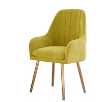 WDYNordic Internet Celebrity Dining Chair Household Girl's Heart Bedroom Light Luxury Dressing Table Makeup Chair Casual Back