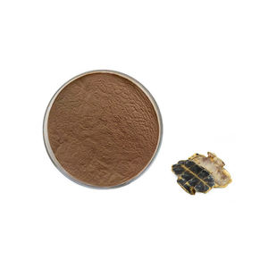 ผงกระดองเต่าเกรดสูงผลิตจากโรงงานจีนผงกระดองเต่า - Product Image 3