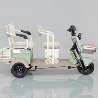 Triciclo Eléctrico de Carga de Alta Calidad, Scooter Eléctrico de 3 Ruedas y 600W, Popular en Venta