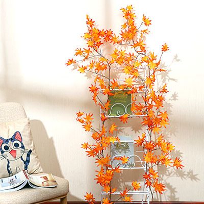 รุ่นลวดลายแถบสีทองและแดงเมเปิ้ล