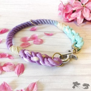 Nuevo Producto 2026 2026 2024 Collar para Perro de Lujo, Colorido y Elegante, con Logotipo Personalizado, de Cuerda de Cáñamo, Multicolor, con Etiqueta - Product Image 3