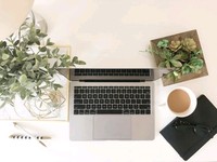 Ensemble de Faux Succulent séchés, 7 pièces, styles différents
