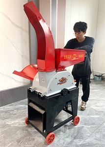 Macchina Trituratrice per Steli di Mais ed Erba, Macchina Taglia-Paglia e Frantumatore, Macinatore di Mais e Cereali, Macchina per la Macinazione della Farina di Mais - Product Image 6