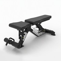 Banc d'entraînement réglable FID avec rouleaux pour les jambes et réglage en échelle chromée, équipement de gym commercial et domestique